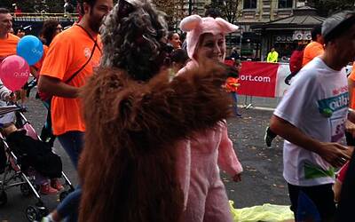 deejay ten milano 2013 le foto ed i video migliori non ufficiali della Deejay Ten milano 2013 guarda se ci sei anche tu tra i partecipanti alla corsa divertente di milano insieme a Radio Deejay e Linus 25