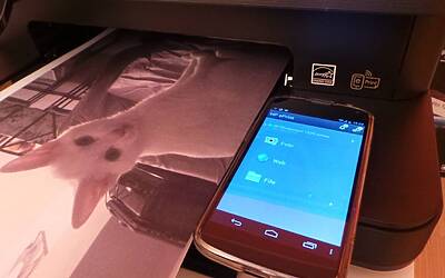 HP PhotoSmart 7520 54