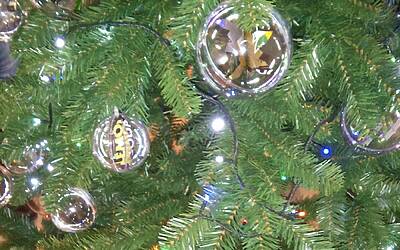 instagram Natale Soft Campari 4