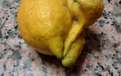 Moto G fotocamera 2013 12 20 17.17.41