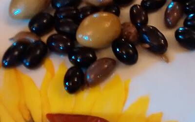 Moto G fotocamera 2013 12 21 13.22.22