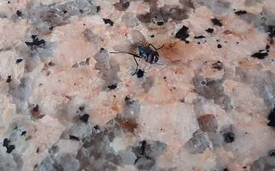 Moto G fotocamera 2013 12 29 10.21.54