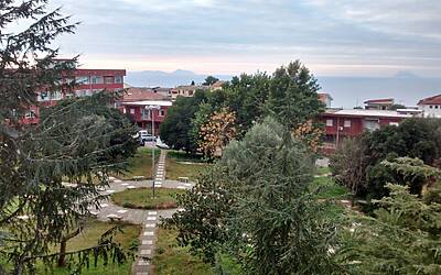 c fotocamera Moto G 2014 01 03 16.21.17