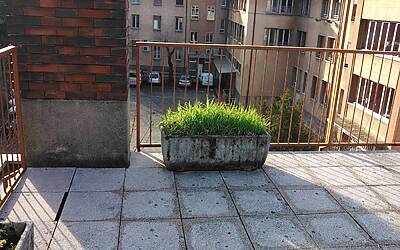 foto Vodafone Smart 4G 11