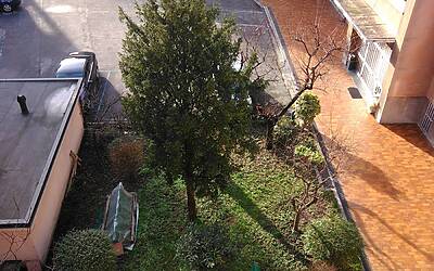 foto Vodafone Smart 4G 15