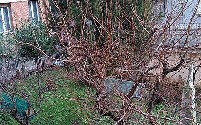 foto Vodafone Smart 4G 24