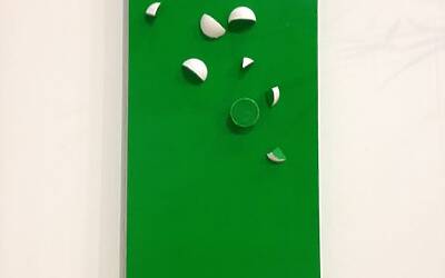 ITALIAN GOLF SHOW PARMA 2014 IL PRINCIPALE EVENTO FIERISTICO PER IL MONDO DEL GOLF CON I PRINCIPALI ESPOSITORI DEL SETTORE ED IL GRANDE CAMPO PRATICA INDOOR PER IL TEST DEI FERRI DEGLI IBRIDI E DEI DRIVE E DI TUTTA ATTREZZATURA GOLFISTICA 015