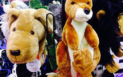 ITALIAN GOLF SHOW PARMA 2014 IL PRINCIPALE EVENTO FIERISTICO PER IL MONDO DEL GOLF CON I PRINCIPALI ESPOSITORI DEL SETTORE ED IL GRANDE CAMPO PRATICA INDOOR PER IL TEST DEI FERRI DEGLI IBRIDI E DEI DRIVE E DI TUTTA ATTREZZATURA GOLFISTICA 102