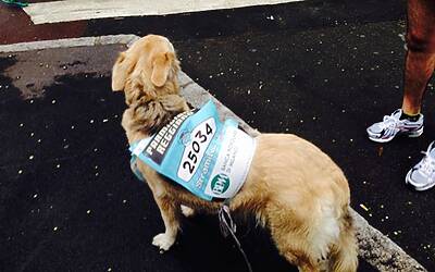 stramilano 2014 le foto ed i video della corsa piu popolare di milano 143