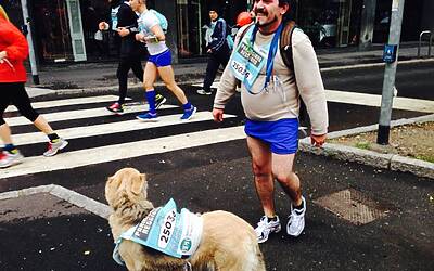 stramilano 2014 le foto ed i video della corsa piu popolare di milano 145