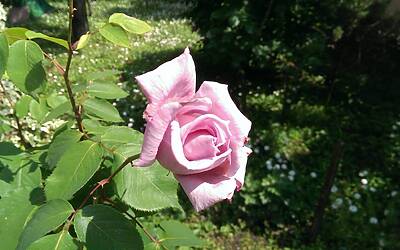 Htc One Max UltraPixel fotocamera 11