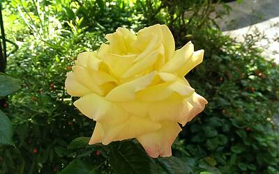 Htc One Max UltraPixel fotocamera 14