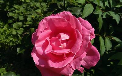 Htc One Max UltraPixel fotocamera 16