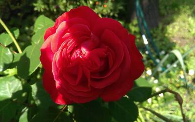 Htc One Max UltraPixel fotocamera 2