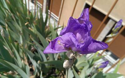 Htc One Max UltraPixel fotocamera 21