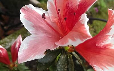 Htc One Max UltraPixel fotocamera 30