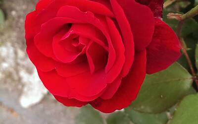 Htc One Max UltraPixel fotocamera 31