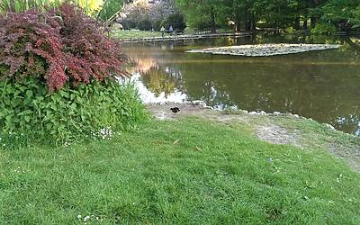 Htc One Max UltraPixel fotocamera 34