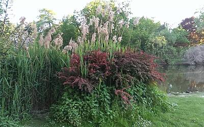 Htc One Max UltraPixel fotocamera 36