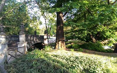 Htc One Max UltraPixel fotocamera 37