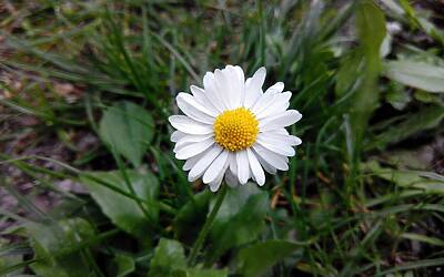 Wiko Darkfull fotocamera 30