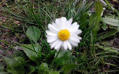 Wiko Darkfull fotocamera 31