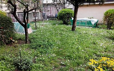 Wiko Darkfull fotocamera 34