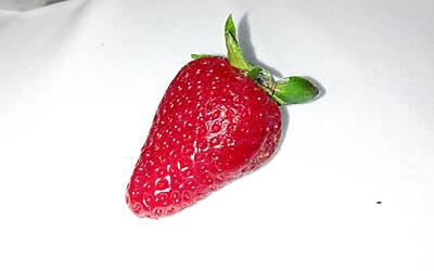 Wiko Darkfull fotocamera 39