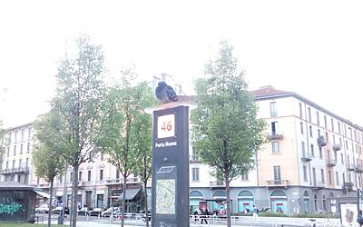 Wiko Darkfull fotocamera 4