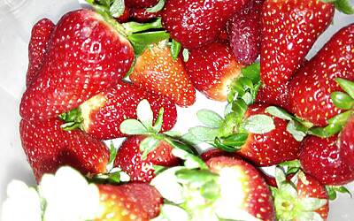 Wiko Darkfull fotocamera 40