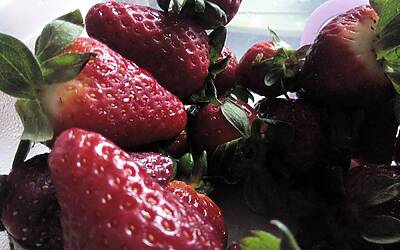 Wiko Darkfull fotocamera 41