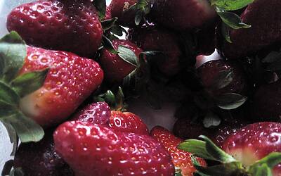 Wiko Darkfull fotocamera 42