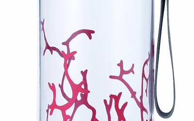 Aladdin Aveo Borraccia