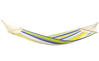 Amazonas Tonga kolibri amaca