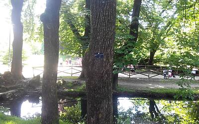 Stonex STX Ultra recensione e fotocamera 6