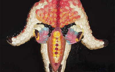 Silbernagl Undergallery Presenta Play Dead di Alice Olimpia Attanasio image 2