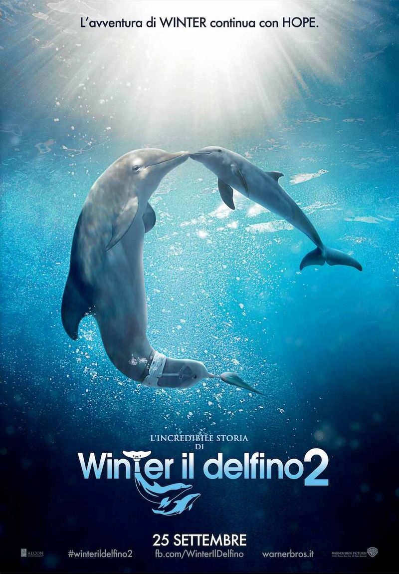 Lincredibile storia di Winter il delfino 2011 Film