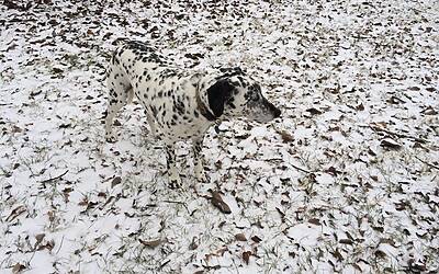 iPhone Photography Awards 2014 3 foto anno