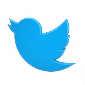 3d twitter icon