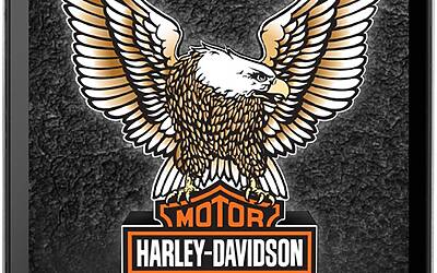 NGM HarleyDavidson black front