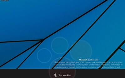 in rete screenshot di windows 9 10