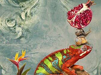 Adriana Glaviano arte5