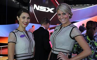 Belle ragazze Salone di Detrot 2015 1