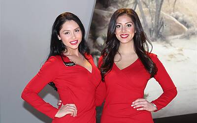 Belle ragazze Salone di Detrot 2015 10