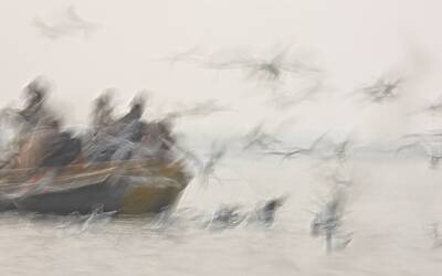 Grande Nibbio1 2013 Veronica Gaido