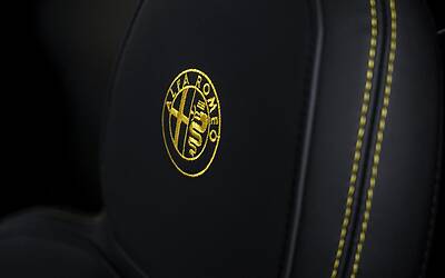 alfa romeo 4c spider salone di detroit 2015 40