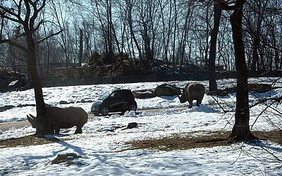 Mercedes electric day 48 36 Medium