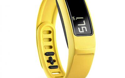 GARMIN vivofit 2 24