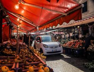 nuova fortwo 70 twinamic 13