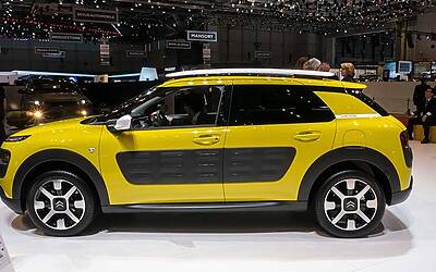 citroenc4cactus